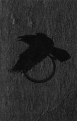 Circle Of Ouroborus : Night Radiance pt. 2